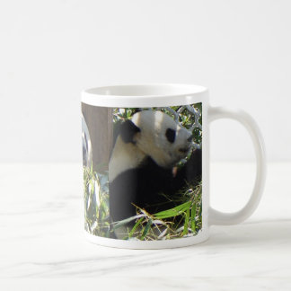 Giant Panda Mug