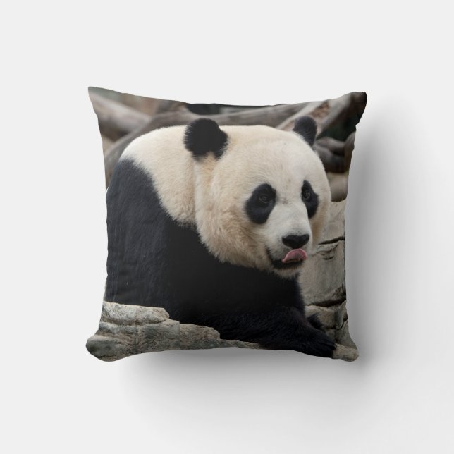 Giant Panda on Rocks Cushion (Front)