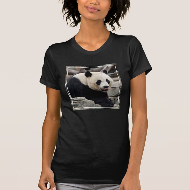Giant Panda on Rocks T-Shirt (Front)