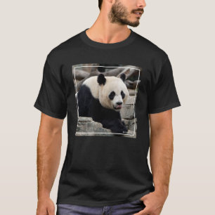 Giant Panda on Rocks T-Shirt