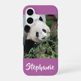 Giant Panda, Orchid, Purple, Name iPhone 16 Case