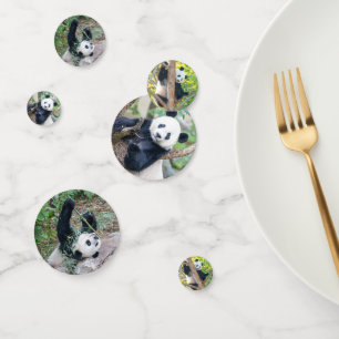 Giant Panda Pics Confetti