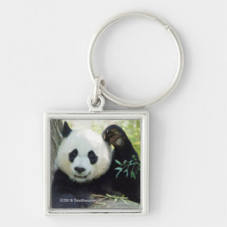 Giant Panda Resting Against Tree Key Ring