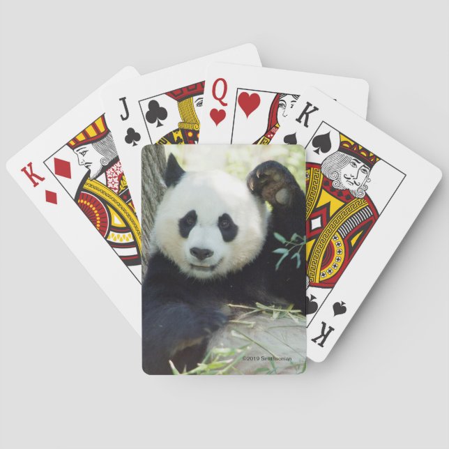 Giant Panda Resting Against Tree Playing Cards (Back)