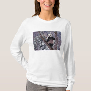 Giant Panda standing on tree, Wolong, Sichuan, T-Shirt