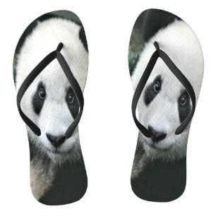 Giant Panda Strolling Through Green Grass Jandals