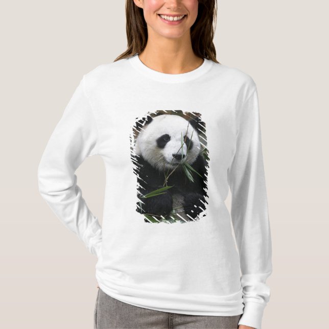 Giant panda T-Shirt (Front)