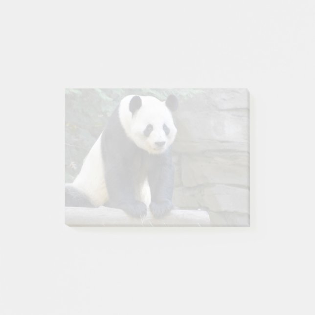 Giant Panda Yang Yang at Zoo Atlanta Post-it Notes (Front)