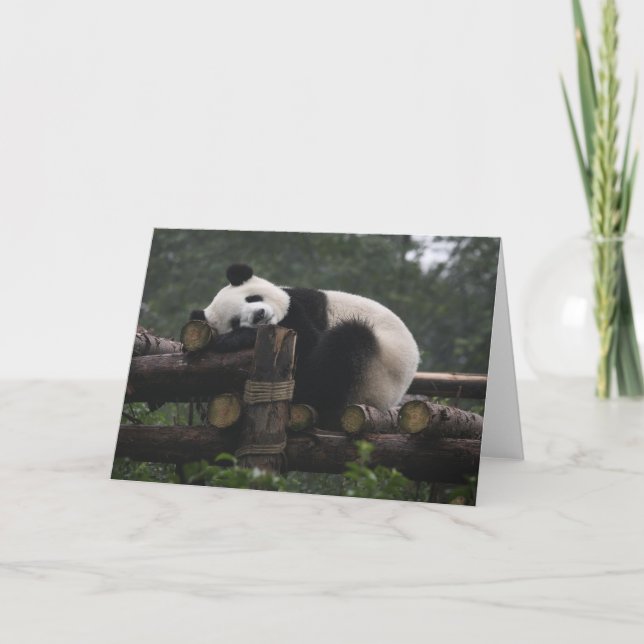 Giant pandas at the Giant Panda Protection Card (Front)