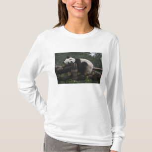 Giant pandas at the Giant Panda Protection T-Shirt