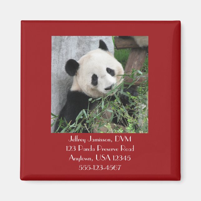 Giant Pandas Magnet, Square, Veterinarian Magnet (Front)