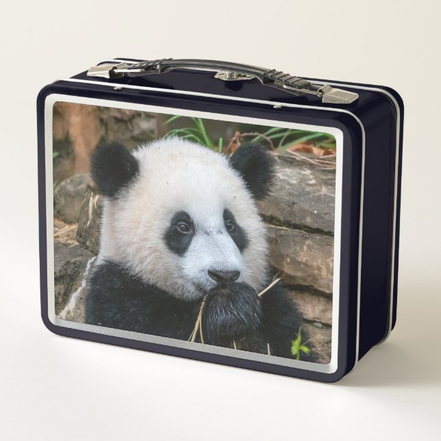 Giant Pandas Mei Xiang and Xiao Qi Ji Lunch Box (Back)
