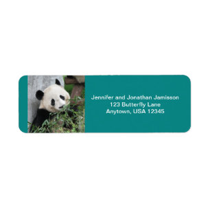 Giant Pandas Return Address Labels, Turquoise