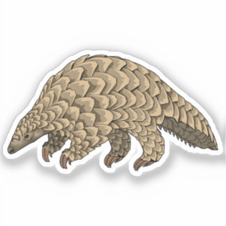 Giant Pangolin vector  illustration