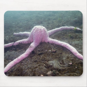 Giant Pink Star Mousepad