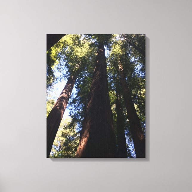 Giant Red Woods Canvas Print (Front)
