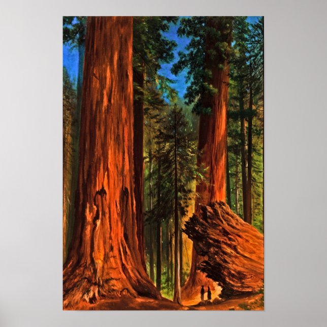 Giant Redwood Forest Trees Yosemite Valley Cali Poster (Front)