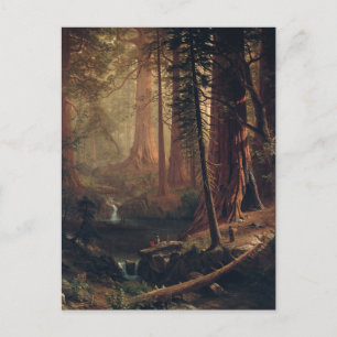 Giant Redwood Trees of California Albert Bierstadt Postcard