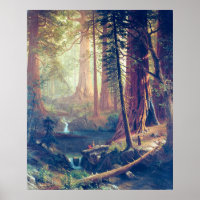 Giant Redwood Trees of California Albert Bierstadt