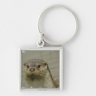 Giant River Otter Keychain