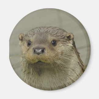 Giant River Otter Magnet