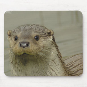Giant River Otter Mouse Pad