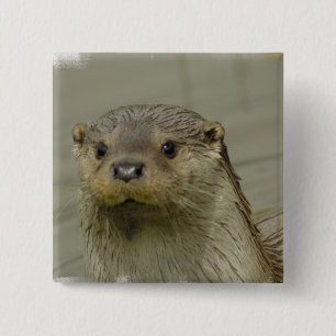 Giant River Otter Pin