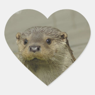 Giant River Otter Stickers