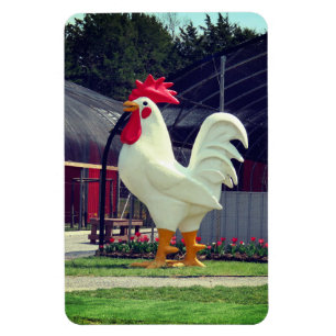 Giant Rooster Magnet