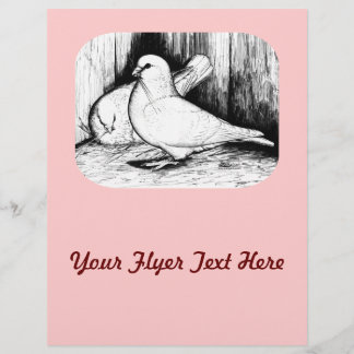 Giant Runt Pigeons Flyer
