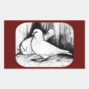 Giant Runt Pigeons Rectangular Sticker