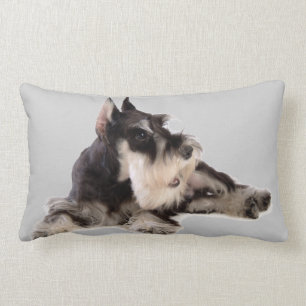GIANT SCHNAUZER LUMBAR CUSHION