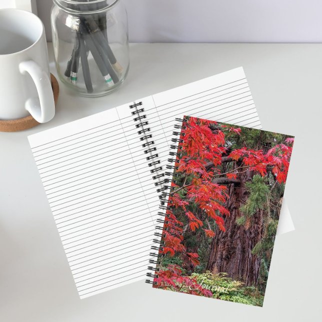 Giant Sequoia and Red Maple Leaves Notebook (In Situ)