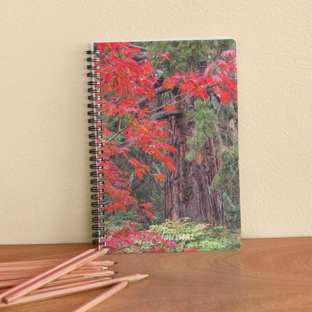 Giant Sequoia and Red Maple Leaves Notebook (In Situ)