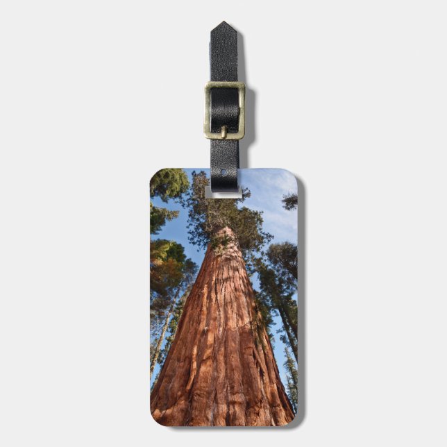 Giant Sequoia Ascends Luggage Tag (Front Vertical)