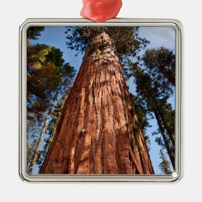 Giant Sequoia Ascends Metal Tree Decoration (Front)