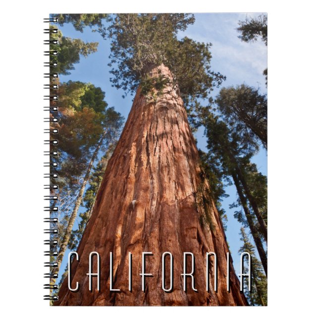 Giant Sequoia Ascends Notebook (Front)