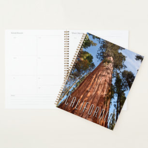 Giant Sequoia Ascends Planner