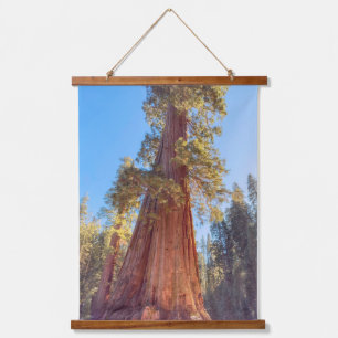 Giant Sequoia Hanging Tapestry