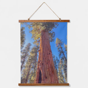 Giant Sequoia in Forest Hanging Tapestry