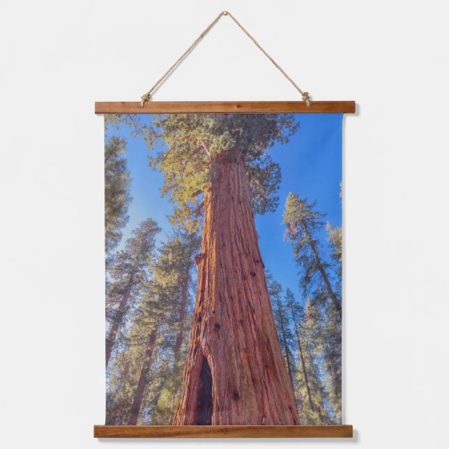 Giant Sequoia in Forest Hanging Tapestry (Front)