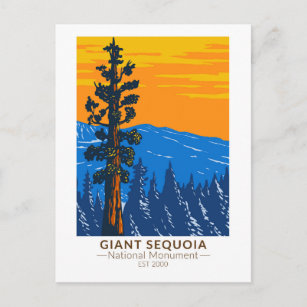Giant Sequoia National Monument California Vintage Postcard