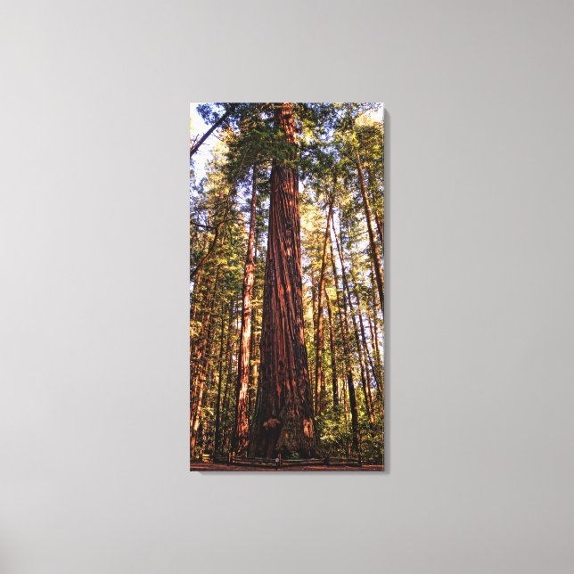 Giant Sequoia Redwood Wrapped Canvas Print (Front)