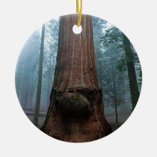 Giant Sequoia Tree in Grant Grove, CA Ceramic Tree Decoration (Front)