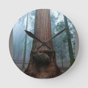 Giant Sequoia Tree in Grant Grove, CA Round Clock
