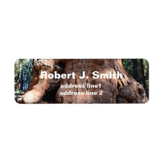 Giant sequoia tree trunk personal address labels.