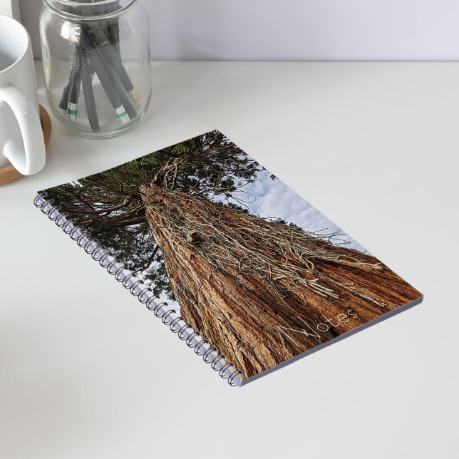 Giant Sequoia Tree Trunk Photo Notebook (In Situ)