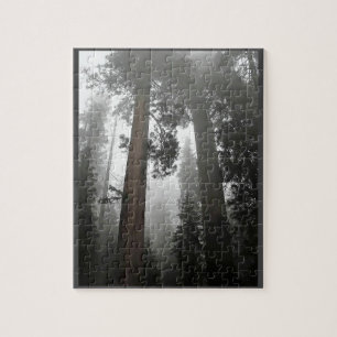 Giant Sequoia Trees in the Fog, CA Jigsaw Puzzle