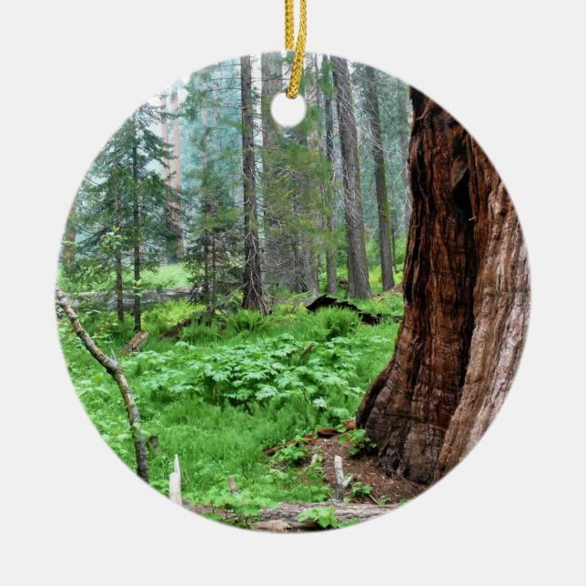 Giant Sequoias in Grant Grove, CA Ceramic Tree Decoration (Front)