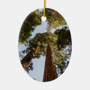 Giant Sequoias in Sequoia National Park Ceramic Tree Decoration